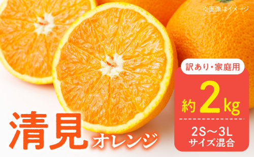 DZ6227_【2026年先行予約】訳あり 家庭用 きよみ 清美オレンジ 和歌山 有田 2S～3Lサイズ混合 2kg 1396283 - 和歌山県湯浅町