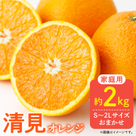 DZ6105_【先行予約】ご家庭用 きよみ 清見オレンジ 和歌山 有田 S～2Lサイズ 大きさお任せ 2kg