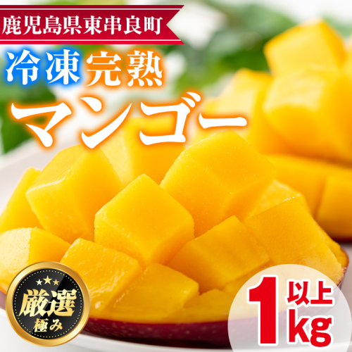 【0142616a】＜数量限定＞鹿児島県産！南国の恵み！まるごと冷凍完熟マンゴー(約1kg・2-3個)果物 フルーツ 果実 冷凍 デザート 国産【甘宮】 139630 - 鹿児島県東串良町