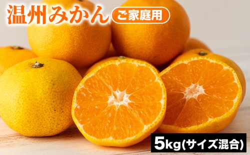 ご家庭用 温州みかん (サイズ混合) 5kg | みかん 柑橘 和歌山 ミカン 温州 家庭用 フルーツ 果物 5kg 1396384 - 和歌山県美浜町