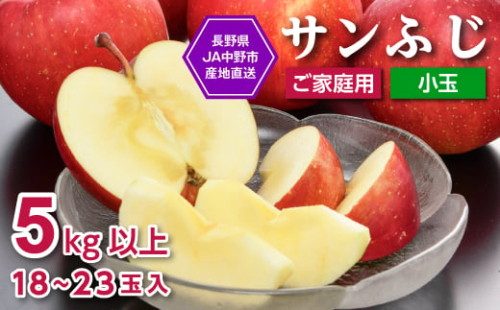 ＜先行受付＞JA中野市 「サンふじ」ご家庭用 訳あり「小玉」 5kg以上(18～23玉入)_ りんご リンゴ 林檎 ふじ フジ サンフジ サンふじ 小玉 家庭用 フルーツ 果物 くだもの 青果 デザート長野県 中野市 JA 産地直送 産直 濃厚 蜜入り 【1526204】