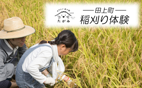 稲刈り体験 1396866 - 新潟県田上町