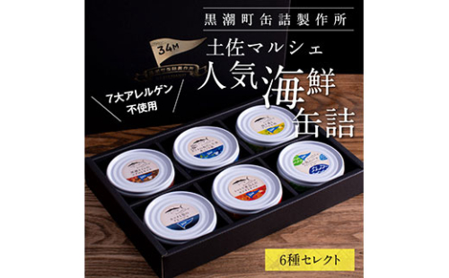 RHT021　支援品 防災 黒潮町からの贈り物！わくわく缶詰セット／ホテルのマルシェで販売している、売れ筋上位6種類の缶詰を詰め合わせ《7大アレルゲン不使用・完全専用ライン・衛生管理》〈黒潮町共通返礼品〉 139733 - 高知県芸西村