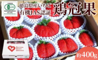 いちご 苺 12粒 400g 以上 高級 鶏冠果 けいけんか 果物 フルーツ デザート 旬 新鮮 季節 冬 春 人気 ケーキ おすすめ ギフト プレゼント 贈答 贈り物 家庭用 期間限定 送料無料 徳島