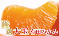 厳選　大きな有田みかん10kg+300g（傷み補償分）【光センサー選果】/ミカンオレンジ みかん 果物 フルーツ オレンジ 果汁 柑橘【ikd025B】