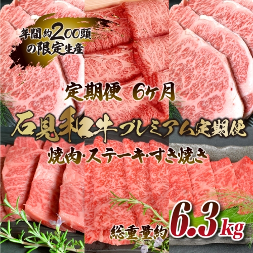 【定期便-6ヶ月】石見和牛プレミアム定期便（焼肉・ステーキ・すき焼き）総重量約6.3kg 139787 - 島根県邑南町