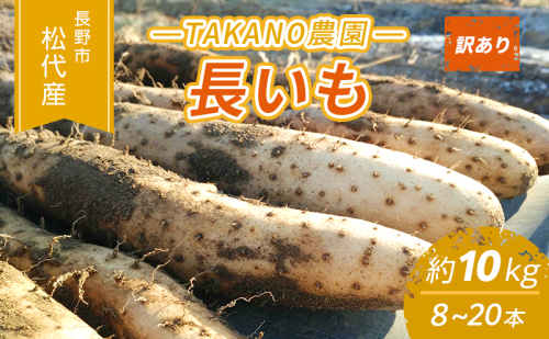 先行予約 長野市松代産 TAKANO農園　長いも 約10kg（訳あり）【8～20本】長芋　ながいも 1398259 - 長野県長野市