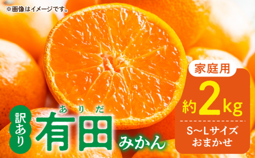DZ6100_【2026年先行予約】ご家庭用 有田みかん 和歌山 S～Lサイズ 大きさお任せ 約2kg 1398431 - 和歌山県湯浅町