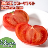[ 先行予約 ] 超大玉 フルーツトマト 大箱 約2.8kg × 1箱 [14〜18玉/1箱] 糖度7度 以上 野菜 フルーツトマト フルーツ トマト とまと [AF008ci]