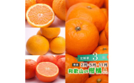 【 2・5・11月 全3回 】 柑橘定期便A【IKE7】