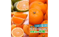 【 2・4・10・12月 全4回 】 柑橘定期便A【IKE5】
