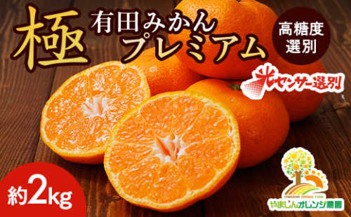＼光センサー選別／極 有田みかんプレミアム 約2kg【光センサー 高糖度選別品】2S～Mの小玉サイズ 有機質肥料100% | 光センサー選別 温州みかん みかん 高糖度 柑橘 果物 フルーツ 甘い◇※2025年11月下旬～2026年1月上旬頃に順次発送予定 ※北海道・沖縄・離島への配送不可 1399211 - 和歌山県美浜町