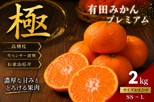 ＼光センサー選別／極 有田みかんプレミアム 約2kg【光センサー 高糖度選別品】2S～Lの小玉サイズ 有機質肥料100% | 光センサー選別 温州みかん みかん 高糖度 柑橘 果物 フルーツ 甘い◇ 1399211 - 和歌山県美浜町