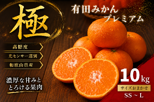 ＼光センサー選別／極 有田みかんプレミアム 約10kg【光センサー 高糖度選別品】2S～Lの小玉サイズ 有機質肥料100% | 光センサー選別 温州みかん みかん 高糖度 柑橘 果物 フルーツ 甘い◇ 1399213 - 和歌山県美浜町