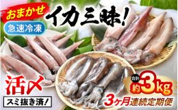春〜剣先イカ、秋〜アオリイカ、冬〜ヤリイカ早朝から漁に出て、定置網で揚げた旬の新鮮なイカを活〆し急速冷凍しました。その時期の一番旬のイカを定期便にてお届けします。1杯ずつ墨抜きをして真空パックにしてい