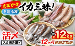 春〜剣先イカ、秋〜アオリイカ、冬〜ヤリイカ早朝から漁に出て、定置網で揚げた旬の新鮮なイカを活〆し急速冷凍しました。その時期の一番旬のイカを定期便にてお届けします。1杯ずつ墨抜きをして真空パックにしてい