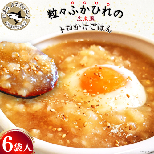 【粒々ふかひれの広東風トロかけごはん】200g×6袋 [鼎陽 宮城県 気仙沼市 20564718] 鱶鰭 ふかひれ フカヒレ 豪華 高級 贅沢 中華 中華料理 モウカザメ コラーゲン 広東 広東風 つぶつぶ 冷凍 1399486 - 宮城県気仙沼市