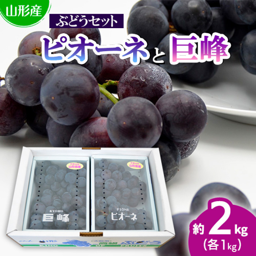 山形のぶどうセット 秀品 約2kg(ピオーネ1kg2房前後・巨峰1kg2房前後)[8月中旬～9月中旬お届け]【令和8年産先行予約】FS24-571 140001 - 山形県山形市