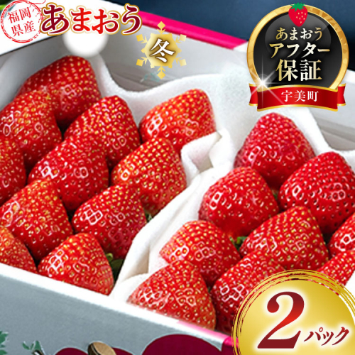 【期間限定発送】 いちご あまおう 福岡産あまおう 冬 2パック [南国フルーツ 福岡県 宇美町 um40azo970000] イチゴ 苺 フルーツ 果実 甘い 小分け 140007 - 福岡県宇美町