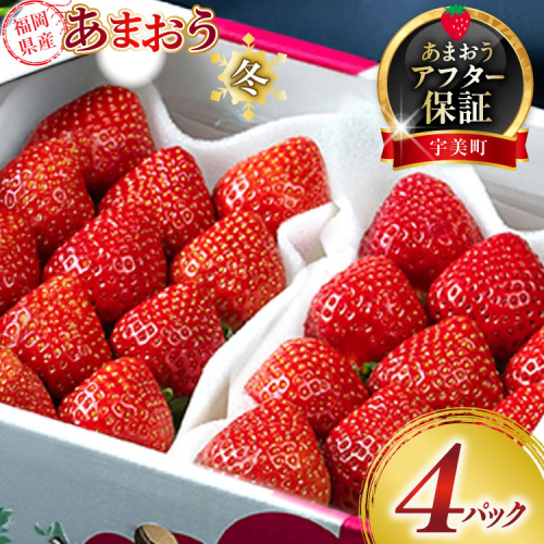 【期間限定発送】 いちご あまおう 福岡産あまおう 冬 4パック [南国フルーツ 福岡県 宇美町 um40azo970001] イチゴ 苺 フルーツ 果実 甘い 小分け 140008 - 福岡県宇美町