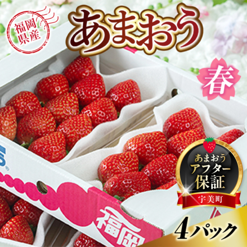 【期間限定発送】 いちご あまおう 福岡産あまおう 春 4パック [南国フルーツ 福岡県 宇美町 um40azo970002] イチゴ 苺 フルーツ 果実 甘い 小分け