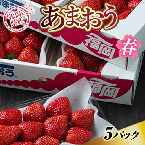 福岡産あまおう春5パック　先行予約※2024年2月上旬から2024年3月下旬に順次発送予定　AX004 140010 - 福岡県宇美町