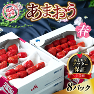 【期間限定発送】 いちご あまおう 福岡産あまおう 春 8パック [南国フルーツ 福岡県 宇美町 um40azo970004] イチゴ 苺 フルーツ 果実 甘い 小分け