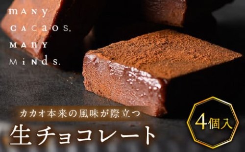 生チョコレート（４個入り） チョコレート 生チョコ 口溶け ソフト クリーミー カカオ おやつ スイーツ デザート 洋菓子 贈り物 手土産 プレゼント バレンタイン 冷凍 奈良県 生駒市 送料無料 1400199 - 奈良県生駒市