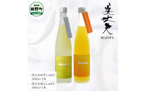 ～四国一小さなまち～ ゆずしゅわっ‼＋ぽんしゅわっ‼ 各500ml リキュール 酒 お酒 おさけ 地酒 日本酒 炭酸 柚子 ぽんかん ポンカン 柑橘 果汁 アルコール びじょうふ 1400446 - 高知県田野町