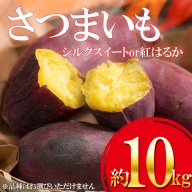 AG01 さつまいも(蜜芋) 10kg 熊本県産 シルクスイート 紅はるか