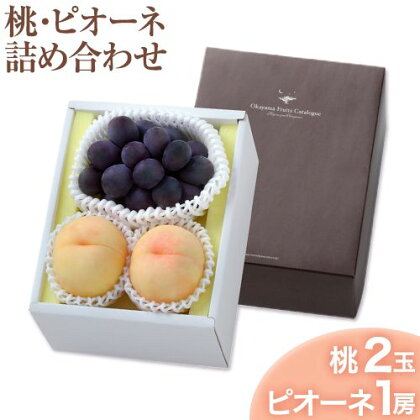 桃・ピオーネ詰め合わせ 約1kg クール便 冷蔵便 桃 もも 葡萄 ブドウ ぶどう ピオーネ フルーツ セット 先行予約 晴れの国おかやま館《2025年8月下旬‐9月中旬頃出荷》 フルーツ 果物 果実 岡山県 笠岡市 1400689 - 岡山県笠岡市