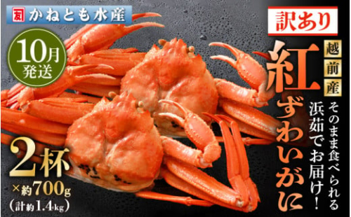 【訳あり】≪浜茹で≫越前産 紅ずわいがに 約700g × 2杯 食べ方しおり付【紅ズワイガニ カニ かに 蟹 姿 ボイル 冷蔵 福井県】【10月発送分】 [e14-x025_10]