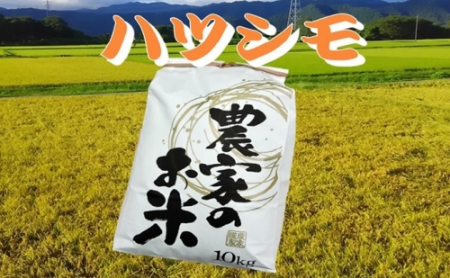池田町農家　令和5年産特別栽培米ハツシモ　10kg×2　白米 140082 - 岐阜県池田町