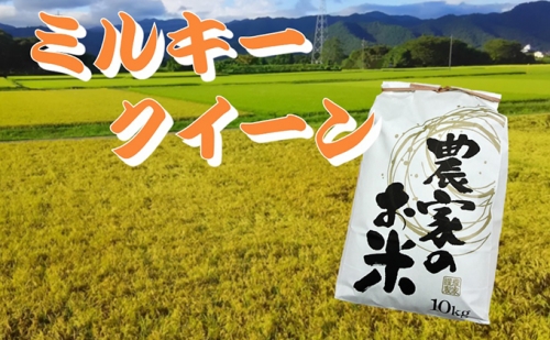 池田町農家　令和5年産特別栽培米ミルキークイーン　10kg　白米 140084 - 岐阜県池田町