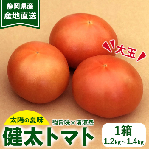 【先行受付】太陽の夏味 健太トマト 約1.2kg～1.4kg×1箱 ｜ 大玉トマト トマト とまと 甘い 野菜 やさい リコピン ヘルシー 新鮮 産地直送 ※2024年7月下旬頃～9月中旬頃に順次発送予定 1401003 - 静岡県御殿場市