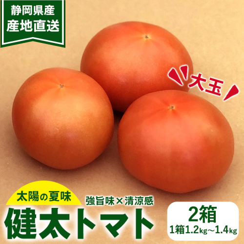 【先行受付】太陽の夏味 健太トマト 約1.2kg～1.4kg×2箱 ｜ 大玉トマト トマト とまと 甘い 野菜 やさい リコピン ヘルシー 新鮮 産地直送 ※2024年7月下旬頃～9月中旬頃に順次発送予定 1401004 - 静岡県御殿場市