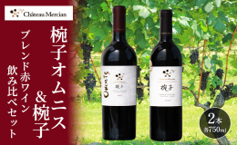 【ふるさと納税】赤ワイン 飲み比べセット 750ml 2本セット 椀子オムニス 椀子 ギフト シャトーメルシャン椀子ワイナリー シャトーメルシ