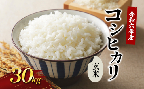 令和6年新米 國方さんの「コシヒカリ」30kg（玄米） 米 玄米 コシヒカリ 新米  1401975 - 香川県東かがわ市