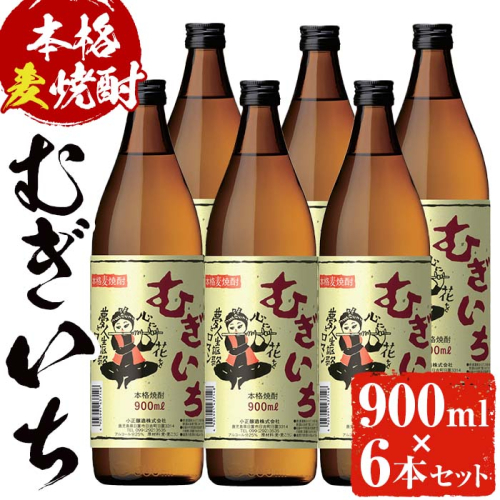 No.697 本格麦焼酎むぎいち(900ml×6本・計5.4L) 【小正醸造】 140200 - 鹿児島県日置市