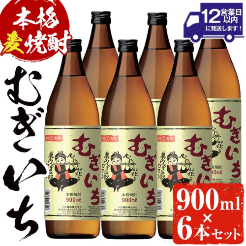 No.697 本格麦焼酎むぎいち(900ml×6本・計5.4L) 【小正醸造】 140200 - 鹿児島県日置市