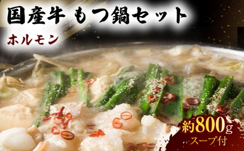 国産 牛 もつ鍋 セット 約800g モツ鍋 鍋セット 肉 お肉 牛肉 ※配送不可：離島 1402019 - 熊本県錦町