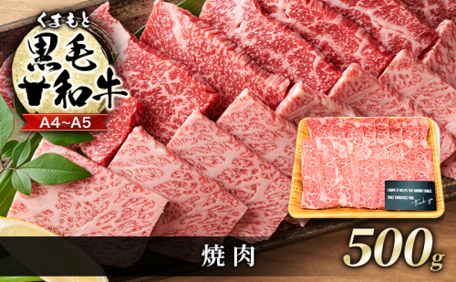 牛肉 A4～A5 くまもと 黒毛和牛 焼肉 500g 焼き肉 肉 お肉 ※配送不可：離島 1402027 - 熊本県錦町