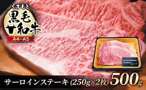 牛肉 A4～A5 くまもと 黒毛和牛 サーロイン ステーキ セット 500g (250g×2枚) 肉 お肉 ※配送不可：離島 1402028 - 熊本県錦町