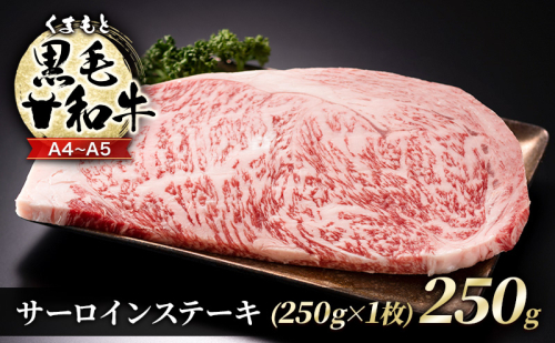 牛肉 A4～A5 くまもと 黒毛和牛 サーロイン ステーキ 250g (250g×1枚) 肉 お肉 ※配送不可：離島 1402032 - 熊本県錦町