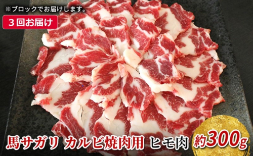 定期便 3ヶ月 馬 サガリ 300g 馬肉 肉 熊本 3回 お楽しみ ※配送不可：離島 1402118 - 熊本県錦町