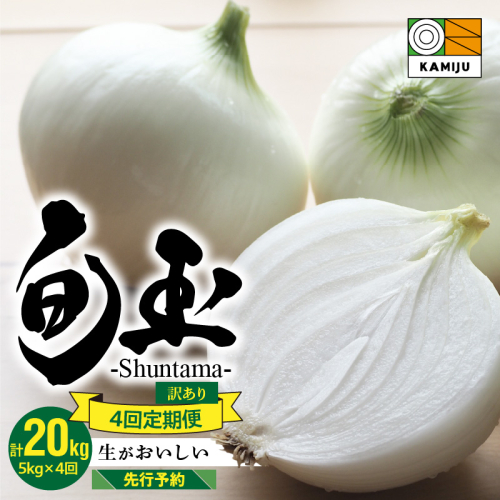 (2026年発送)訳あり 新玉ねぎ 定期便 5kg×4回　生がおいしい 神重農産のブランド玉ねぎ「旬玉」　H105-129 140214 - 愛知県碧南市