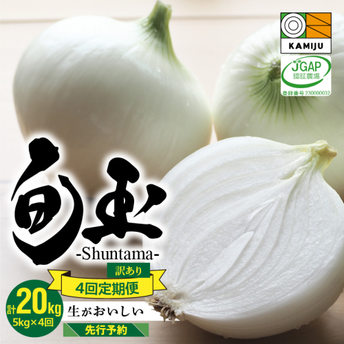 訳あり 新玉ねぎ 定期便 5kg×4回　生がおいしい 神重農産のブランド玉ねぎ「旬玉」　H105-129 140214 - 愛知県碧南市