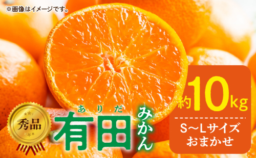 DZ6200_秀品 有田みかん 和歌山県産 S～Lサイズ 大きさお任せ 約10kg 1402284 - 和歌山県湯浅町