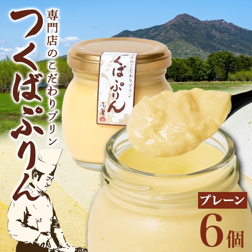 つくばぷりん プレーン 6個 冷凍 プリン ぷりん 牛乳 生乳 ミルク 卵 奥久慈卵 スイーツ 贅沢 洋菓子 おやつ 冷菓 ご褒美 デザート 専門店 人気 グルメ お取り寄せ ギフト プレゼント 贈り物 贈答品 化粧箱 筑波山麓 つくば 送料無料 ふじ屋 茨城県 桜川市 [EW001sa] 1402582 - 茨城県桜川市