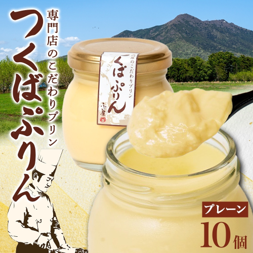 つくばぷりん プレーン 10個 冷凍 プリン ぷりん 牛乳 生乳 ミルク 卵 奥久慈卵 スイーツ 贅沢 洋菓子 おやつ 冷菓 ご褒美 デザート 専門店 人気 グルメ お取り寄せ ギフト プレゼント 贈り物 贈答品 化粧箱 筑波山 つくば 送料無料 ふじ屋 茨城県 桜川市 [EW002sa] 1402586 - 茨城県桜川市